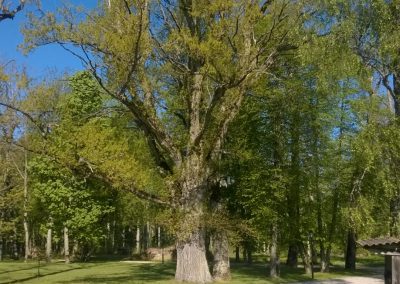 WP_20160521_006